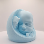 A pastel blue 3D printed baby head in a belly, shown on a neutral light gray background.
